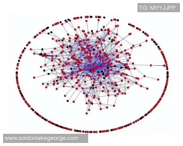 数据分析探讨：WE意识在社会互动中的表现与影响研究